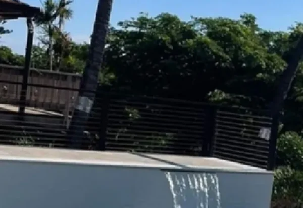 Why Choose Pool Pro for Your Swimming Pool Accessories Needs Why Choose Pool Pro for Your Swimming Pool Accessories Needs